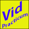 Video Game Practicum Logo